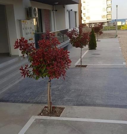 Mamaia Nord Apartament 18 Năvodari Exterior foto